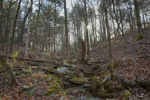 7.5 acres Mountain Meadows Road, Shirley, AR 72153