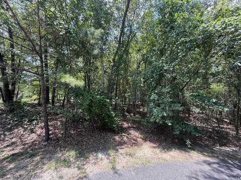 14 Versalles Lane, Hot Springs Village, AR 71909
