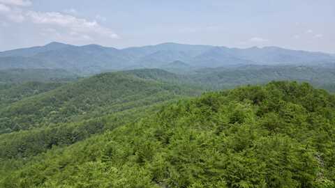 00 Little Mountain Rd Road, Copperhill, TN 37317