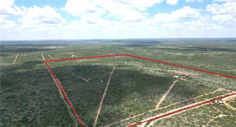 TR 47 TR 48 FRONTIER LAND CO SUBD, Freer, TX 78357