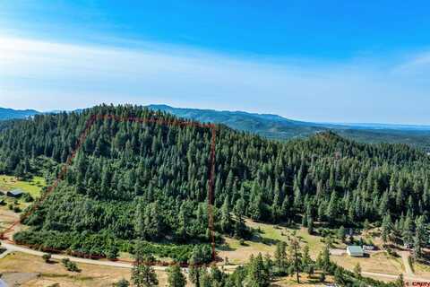 554 Pine Spring Drive, Bayfield, CO 81122