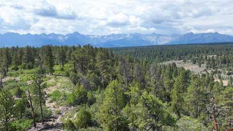 695 Wireweed Lane, Montrose, CO 81403