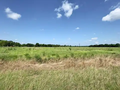 490 Bill Yance Road, Webb, AL 36376