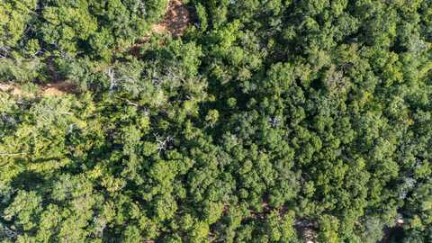 Lot X Old Jolly Bay Lane, Freeport, FL 32439
