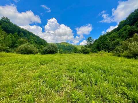 0 Left Fork Marshalls Branch, Jenkins, KY 41537