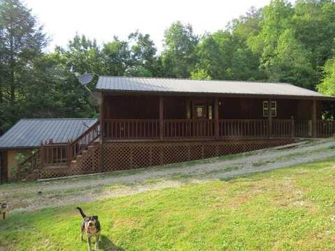 824 Straight Fork Rd, Cornettsville, KY 41731
