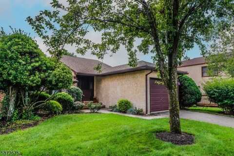 21 Teaberry Dr, Edison, NJ 08820