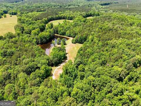 102 +/- Acres - Old Zebulon Road, Molena, GA 30258