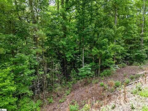 0 Bowater Pass, Fountain Inn, SC 29644