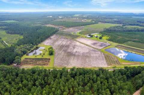 Lot 3 (51.47 Ac) Cody (Nichols, GA) Road, Other, GA 31554