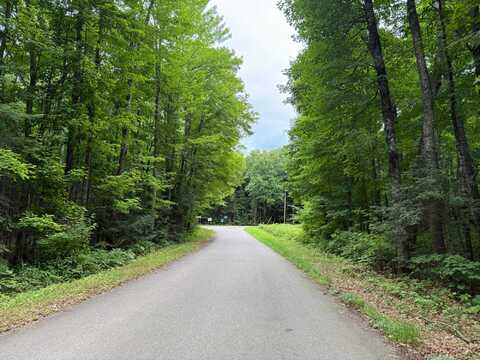 25 A On BEARSKULL RD, Park Falls, WI 54552