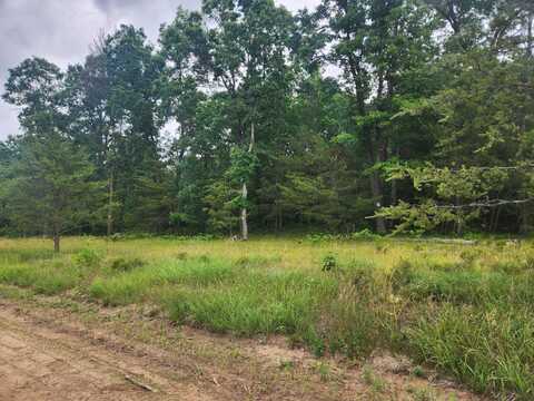 Parcel B W 16th Street, Baldwin, MI 49304