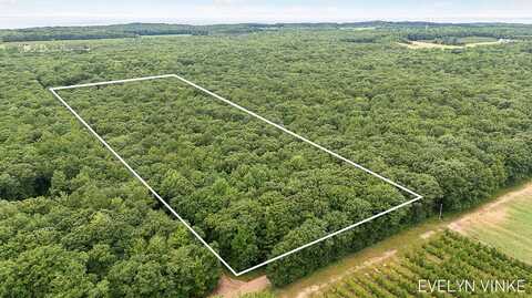 V/L W Woodrow Road, Shelby, MI 49455