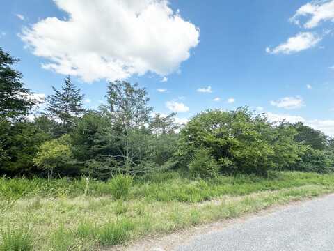 000 Shady Oaks Shore, Forsyth, MO 65653