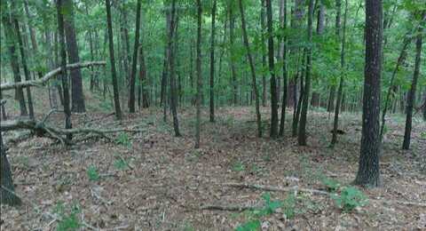 481 Timberline Road, Willow Springs, MO 65793