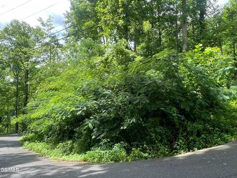 752 Loop Road, Gatlinburg, TN 37738