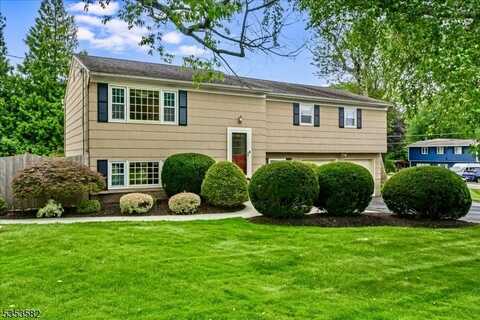 undefined, Randolph, NJ 07869