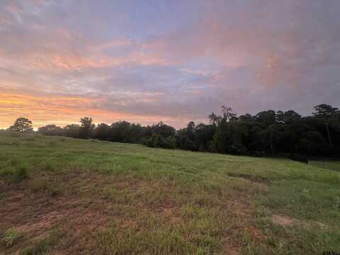304 Bridle Ridge Ct., Tyler, TX 75703