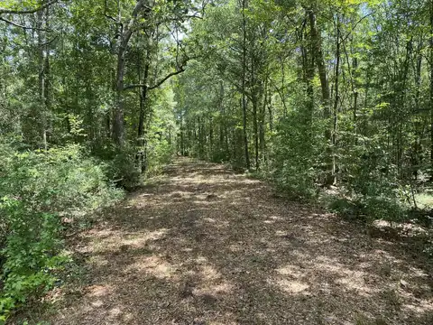 64.5 Acres Hwy 43 N, Poplarville, MS 39470