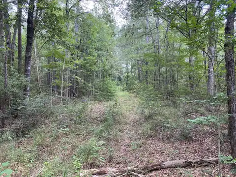 64.5 Acres Hwy 43 N, Poplarville, MS 39470