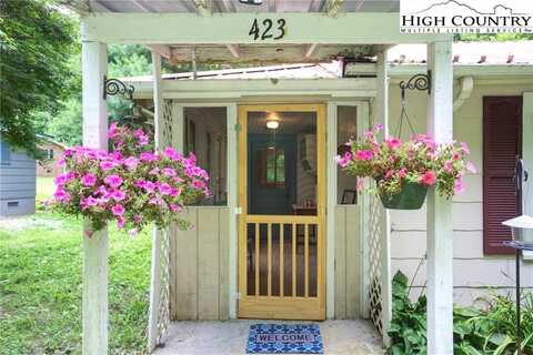 423 Dark Hollow Road, Elk Park, NC 28622