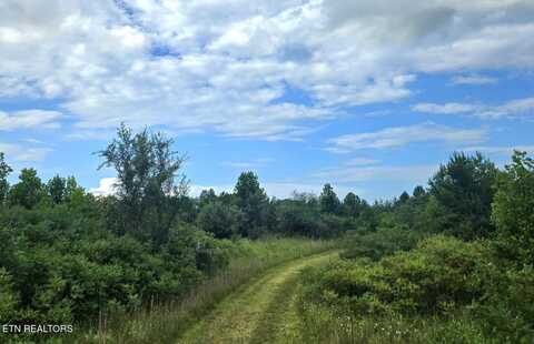 Tract 1 Grassy Knob Road, Robbins, TN 37852