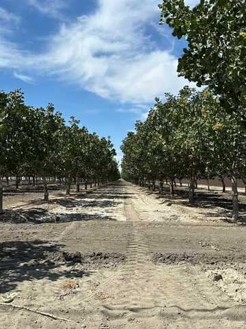 0 Lansing Ave, Lemoore, CA 93245