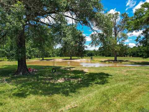 1485 LILAC LANE, Gilmer, TX 75644