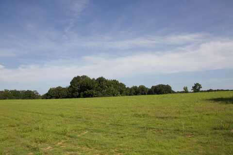 2895 YAGER, Moscow, TN 38057