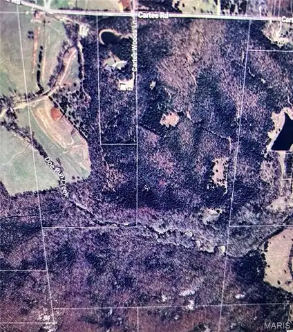 4240 Cartee Rd, Farmington, MO 63640