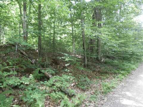Lot 005 Hebo Hybo Road, Acton, ME 04001