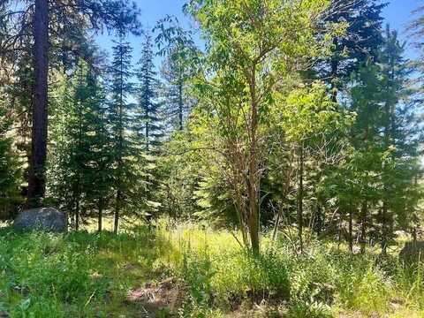 Majestic View Drive lot: 50, McCall, ID 83638