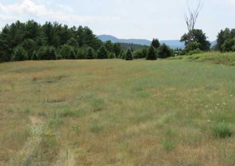 001 NYS Route 9N, Jay, NY 12941