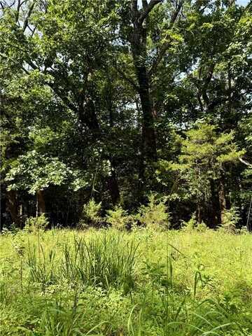 Lot 39 Pine DR, Garfield, AR 72732