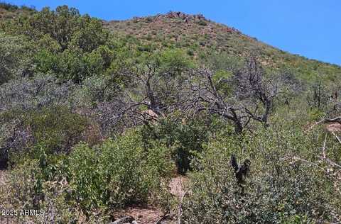 Tbd S El Capitan Drive, Globe, AZ 85501