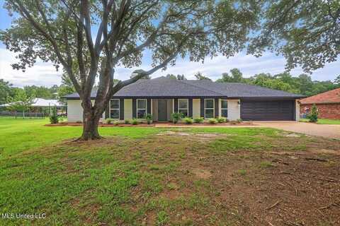 310 Lakeside Drive, Brandon, MS 39047