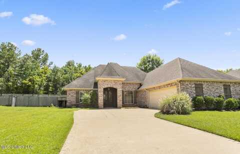 111 Meadow Pointe Cove, Brandon, MS 39042