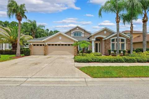 14845 MAN O WAR DRIVE, ODESSA, FL 33556