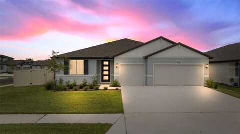 14006 GINNIE SPRINGS WAY, PARRISH, FL 34219