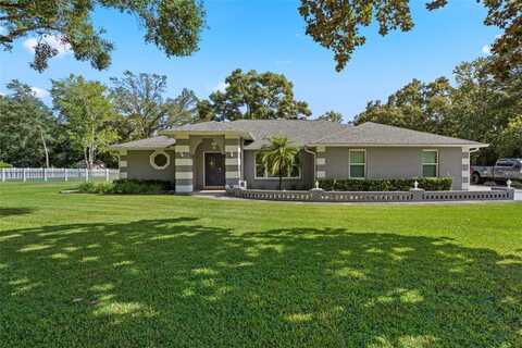 423 SPRING HOLLOW BOULEVARD, APOPKA, FL 32712