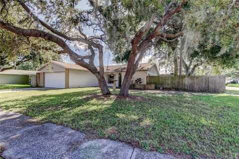 14701 CACTUS WREN PLACE, TAMPA, FL 33625