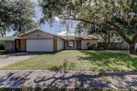 14701 CACTUS WREN PLACE, TAMPA, FL 33625