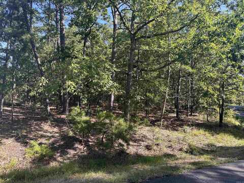 33 Levantino Drive, Hot Springs Village, AR 71909