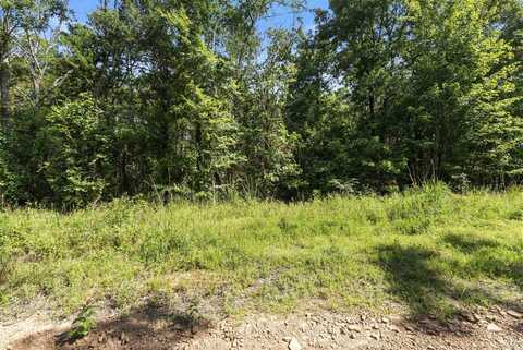 650 Little Fox Rd, Shirley, AR 72153