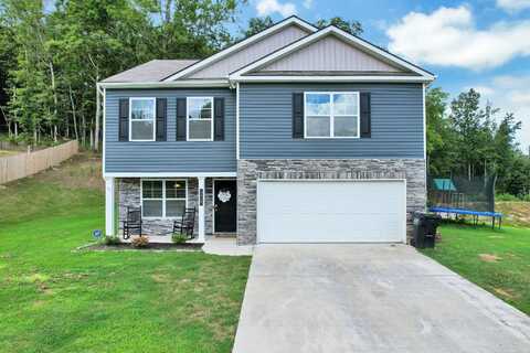 12263 Bull Run, Birchwood, TN 37308