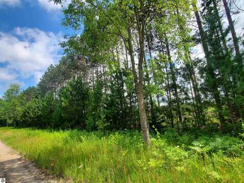 80 ACRES BEALL ROAD, BEAR LAKE, MI 49614