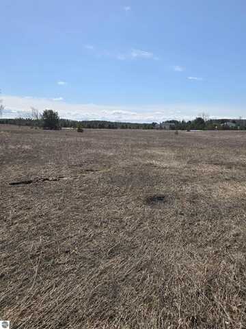 A JOHNSON ROAD, MANCELONA, MI 49659