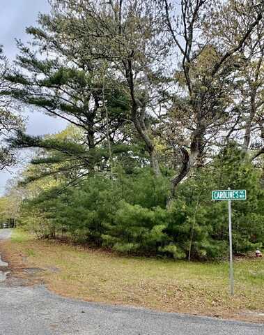 2 Carolines Way, Orleans, MA 02653