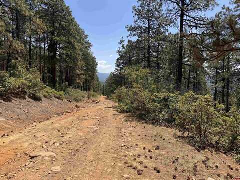 TBD Unit 3 Forest Lakes, Bayfield, CO 81122