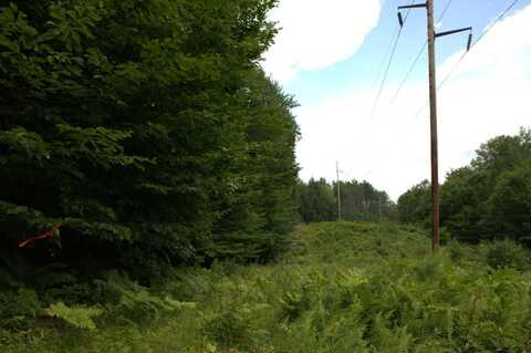 020 Canton Mountain Road, Jay, ME 04239